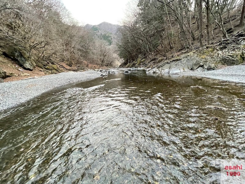 神流川 上野漁協