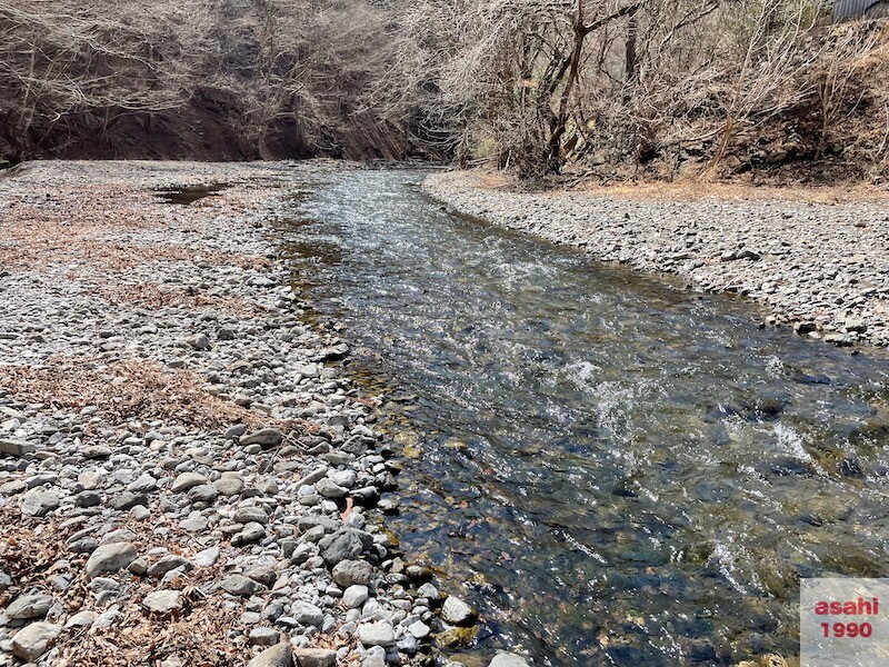 神流川 釣り テンカラ