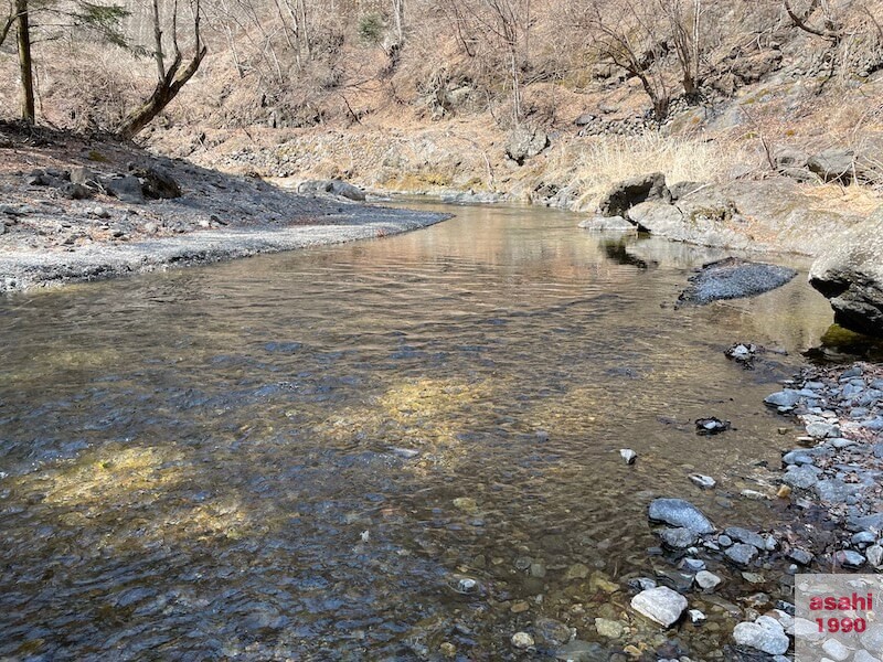 神流川 釣り テンカラ