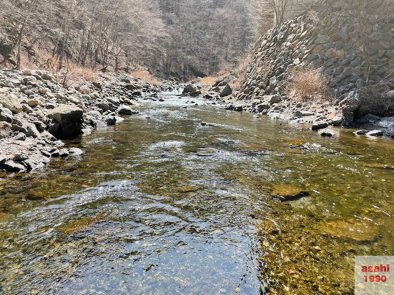 神流川 釣り テンカラ