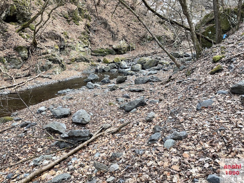 神流川 釣り テンカラ