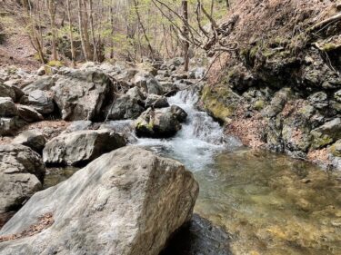 上野村漁業協同組合管轄「日向沢」「住居附沢」釣行記(2022年4月中旬)