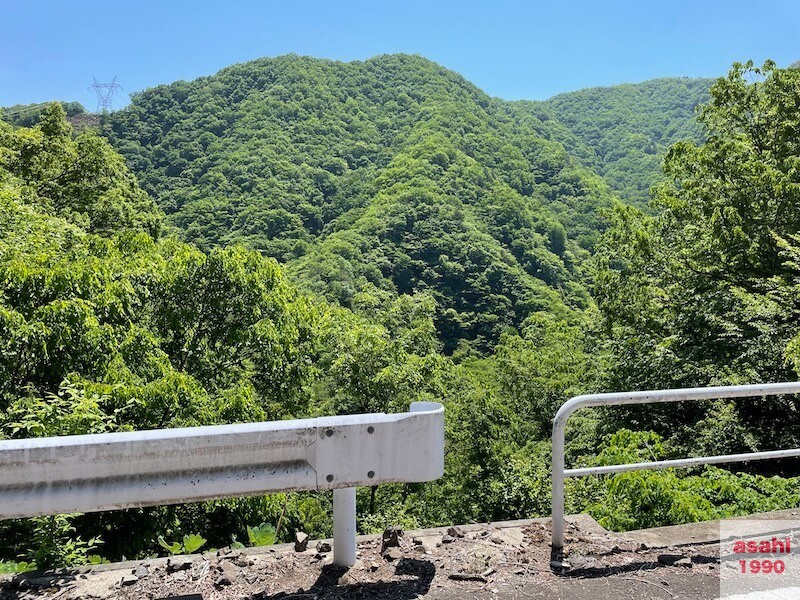 神流川 中ノ沢 釣り テンカラ