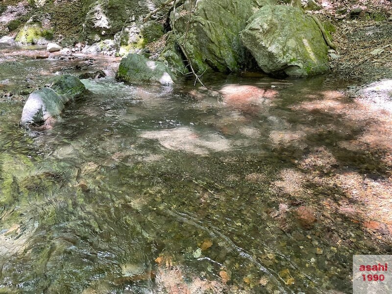 神流川 中ノ沢 釣り テンカラ