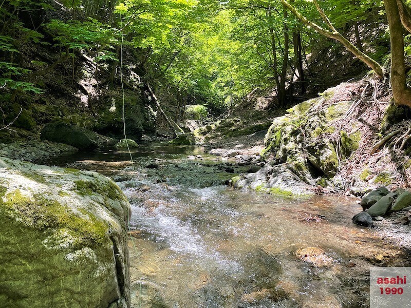 神流川 中ノ沢 釣り テンカラ