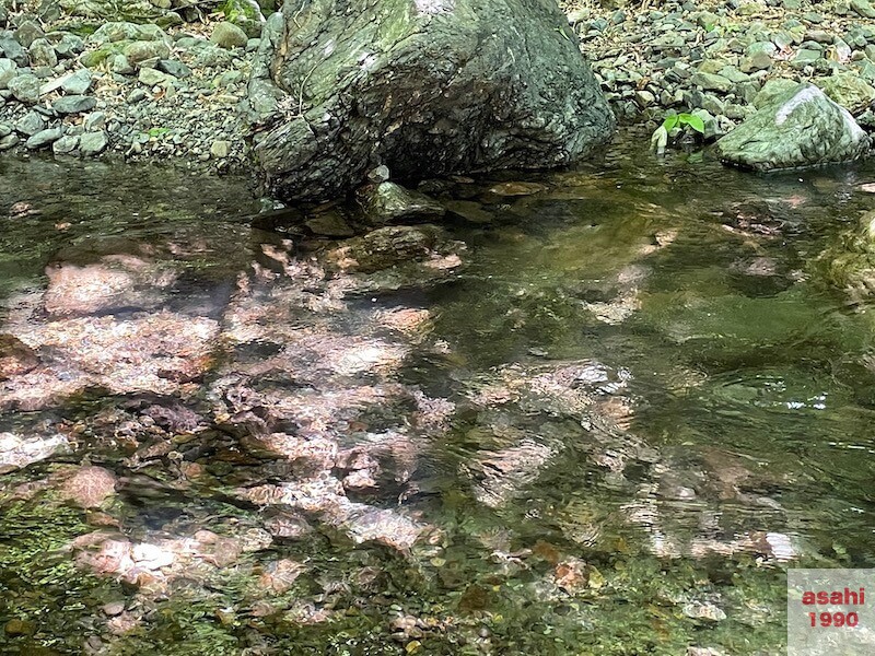 神流川 中ノ沢 釣り テンカラ