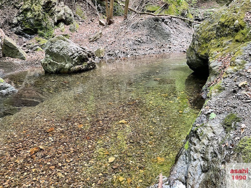 神流川 中ノ沢 釣り テンカラ