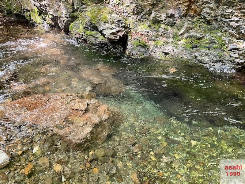 神流川 中ノ沢 釣り テンカラ