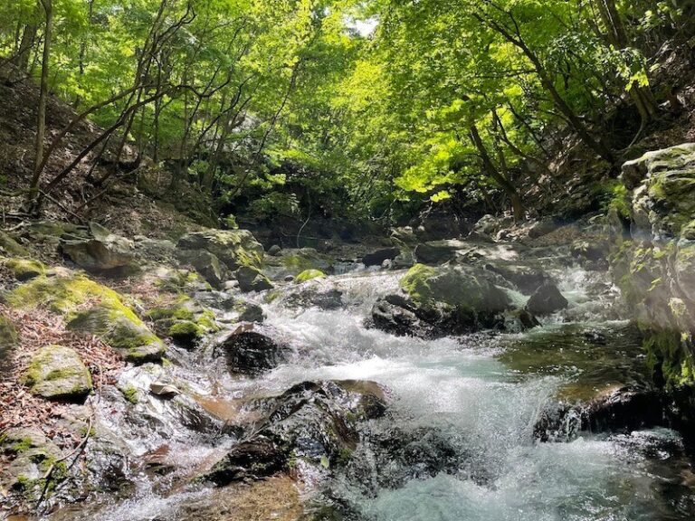 神流川 中ノ沢 釣り テンカラ