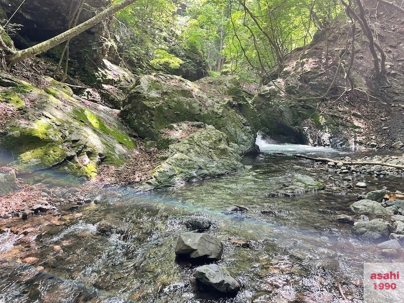 神流川 中ノ沢 釣り テンカラ