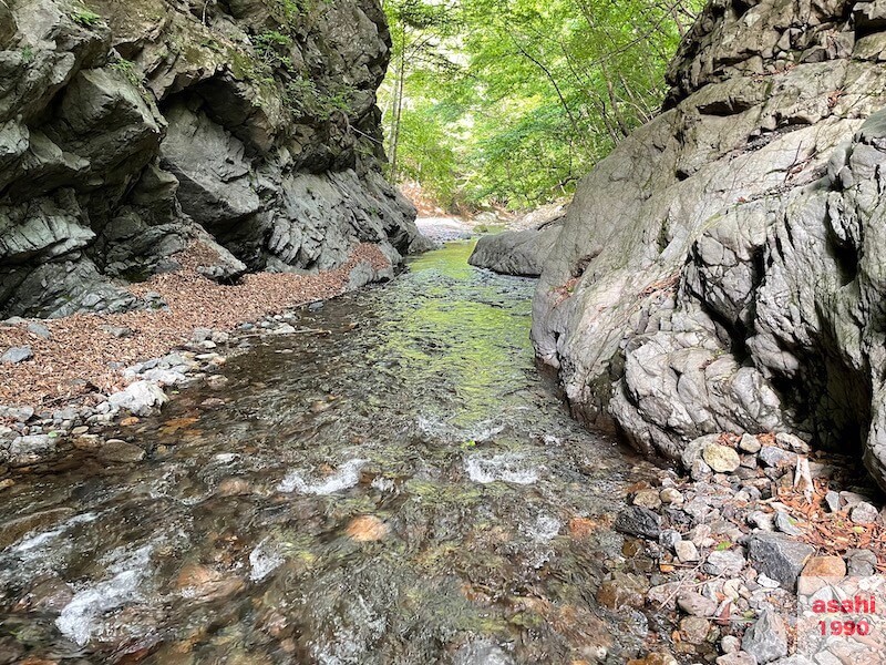 神流川 中ノ沢 釣り テンカラ