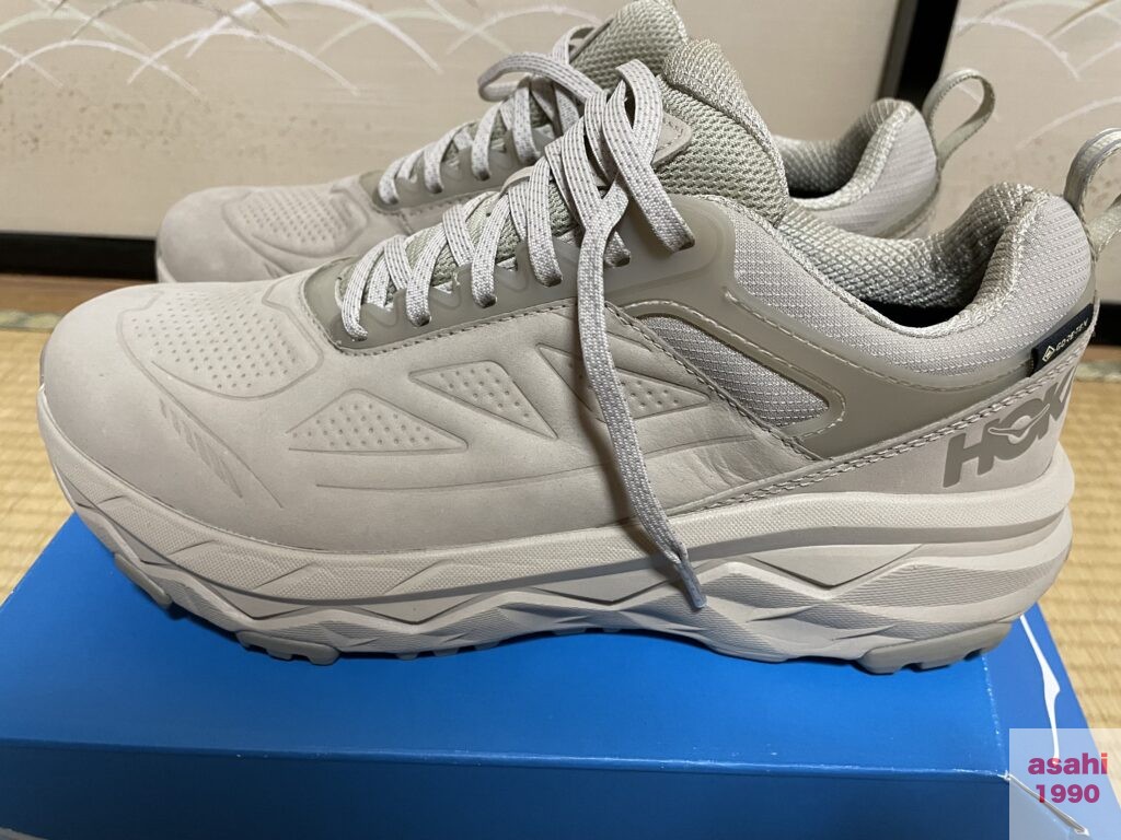 STEPN 靴 HOKA