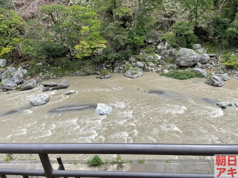 神流川 渓流釣り テンカラ