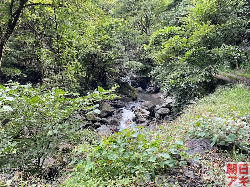 神流川 渓流釣り テンカラ