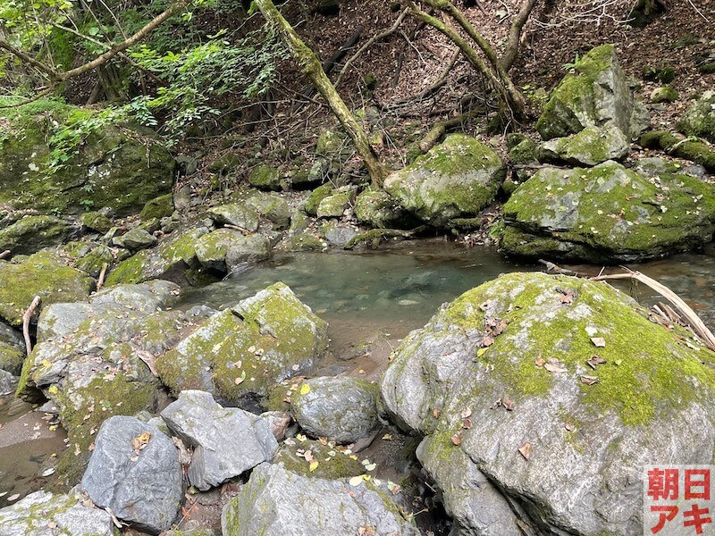 神流川 渓流釣り テンカラ