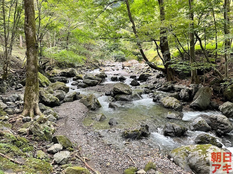 神流川 渓流釣り テンカラ