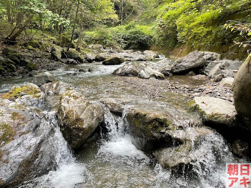 神流川 渓流釣り テンカラ