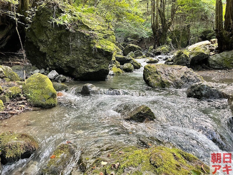 神流川 渓流釣り テンカラ