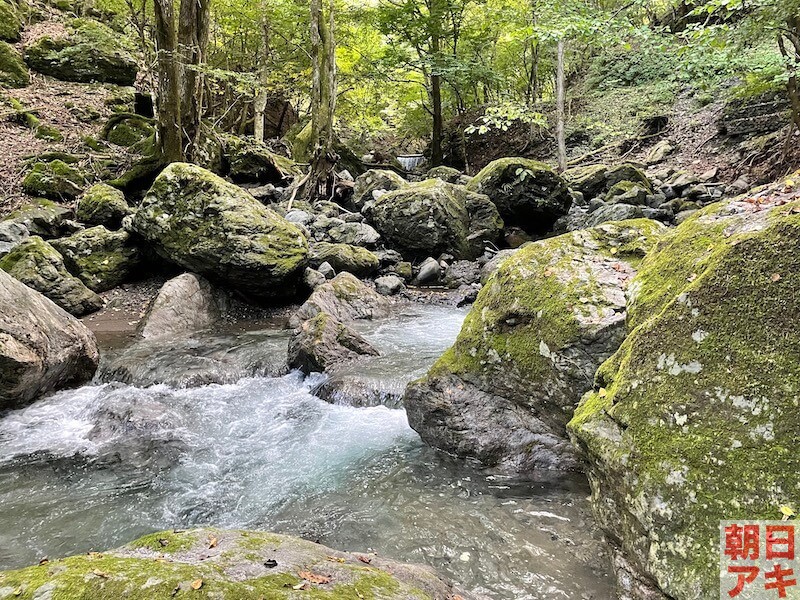 神流川 渓流釣り テンカラ