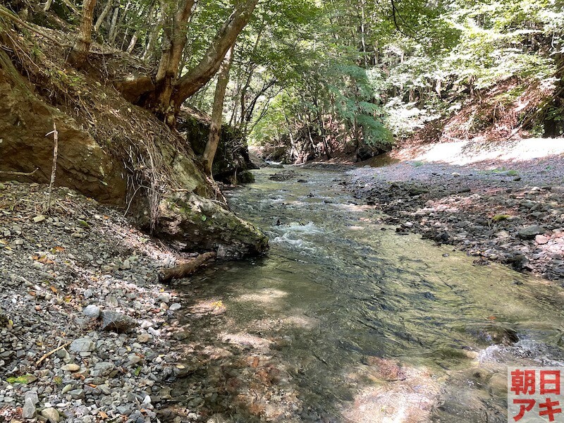 神流川 上野 渓流釣り テンカラ