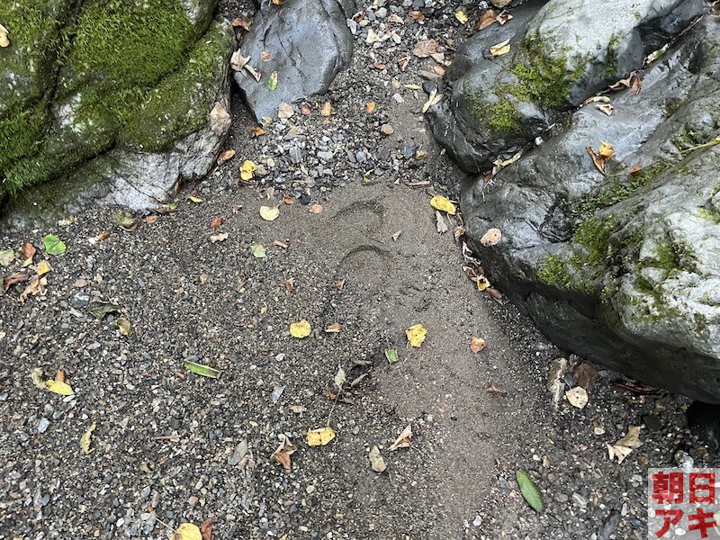 神流川 上野 渓流釣り テンカラ