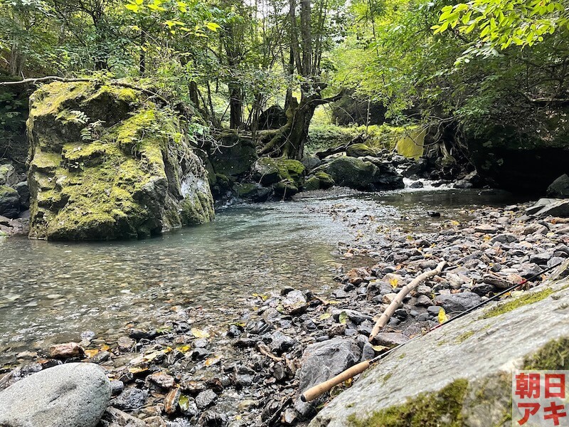 神流川 上野 渓流釣り テンカラ