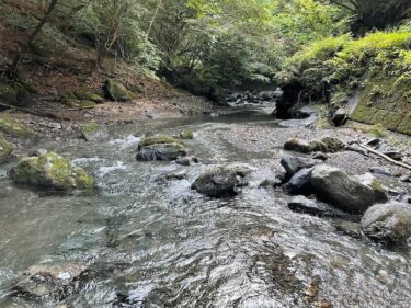 上野村漁業協同組合管轄「北沢」「乙父沢川」釣行記(2022年9月中旬)