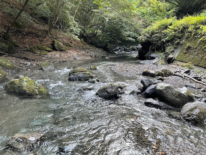 神流川 上野 渓流釣り テンカラ