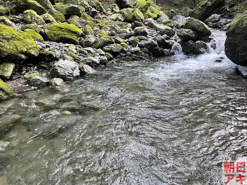 神流川 上野 渓流釣り テンカラ