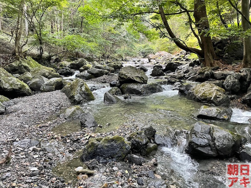 神流川 上野 渓流釣り テンカラ