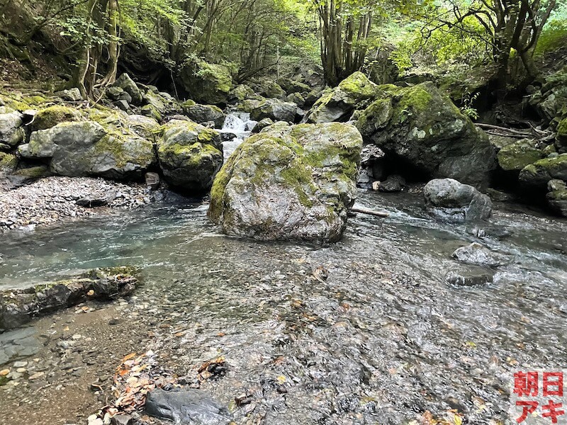 神流川 上野 渓流釣り テンカラ