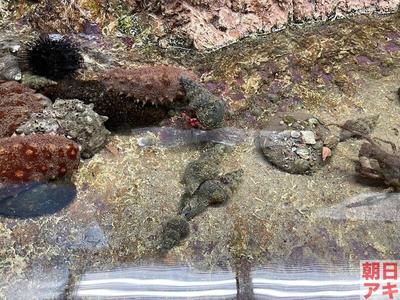 金沢・能登半島・和倉温泉の旅行コース