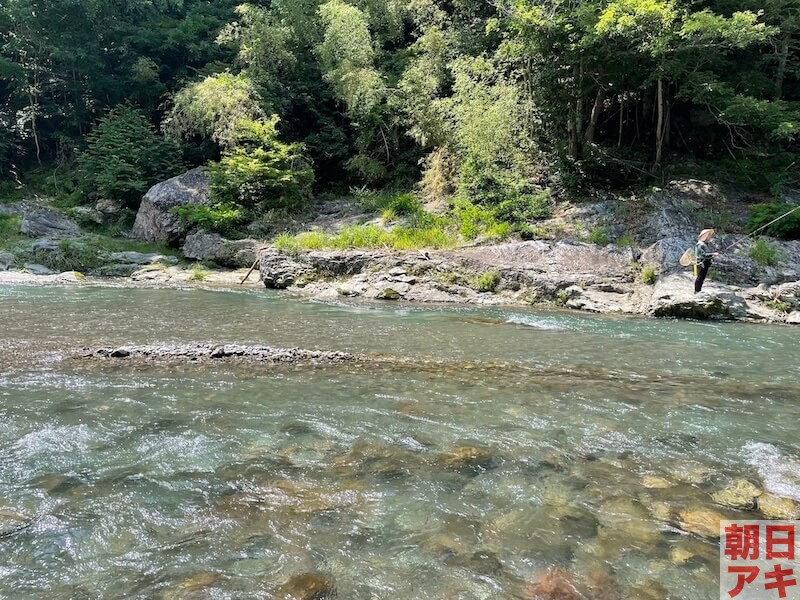 神流川　鮎釣り