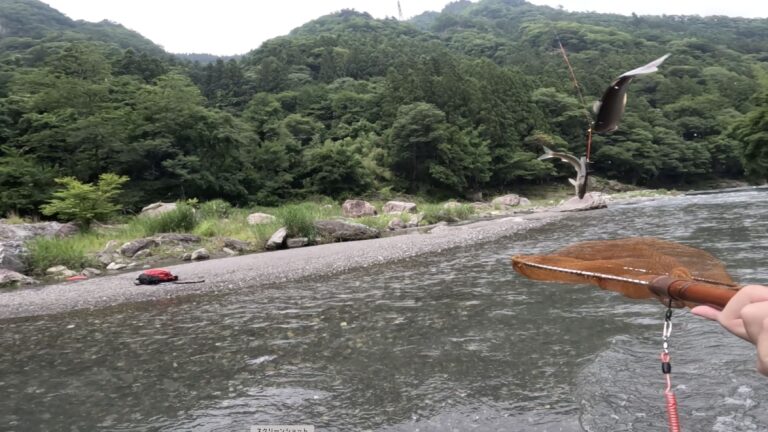 神流川　鮎釣り