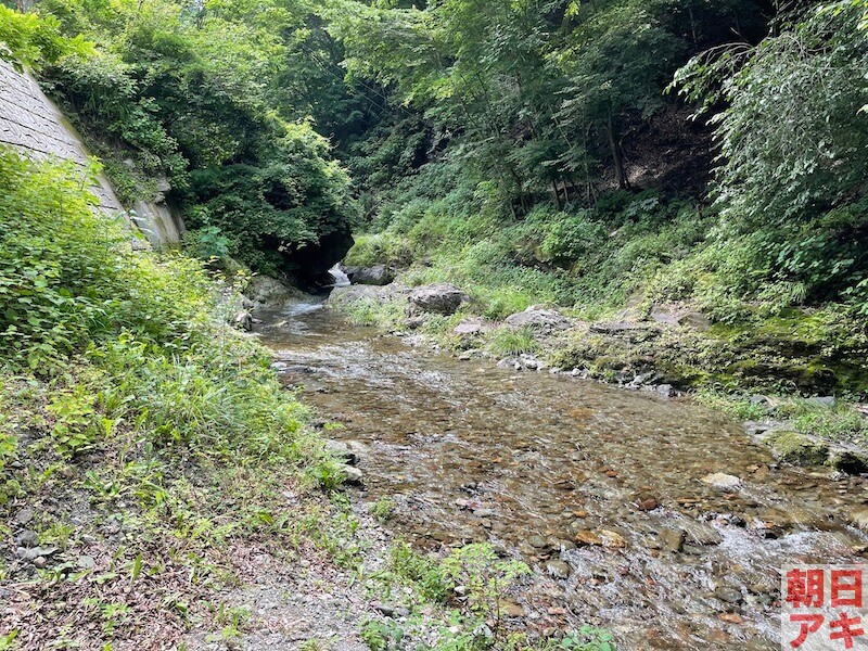 渓流釣り　テンカラ