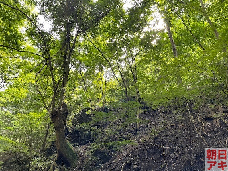 渓流釣り　テンカラ