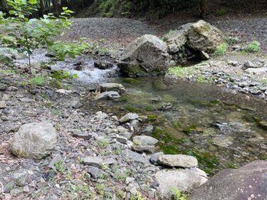 南甘漁業協同組合管轄「神流川」「神流川支流」アユ釣り・渓流釣り釣行記(2023年7月上旬)