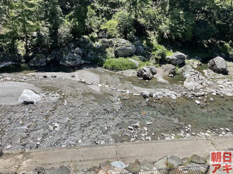 神流川 鮎釣り 