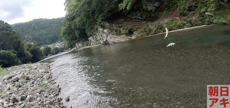 神流川　鮎釣り