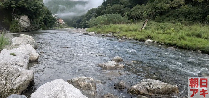 神流川　鮎釣り