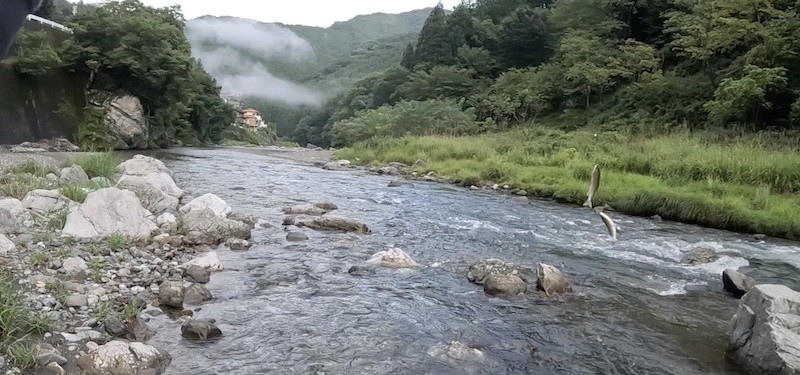 神流川　鮎釣り