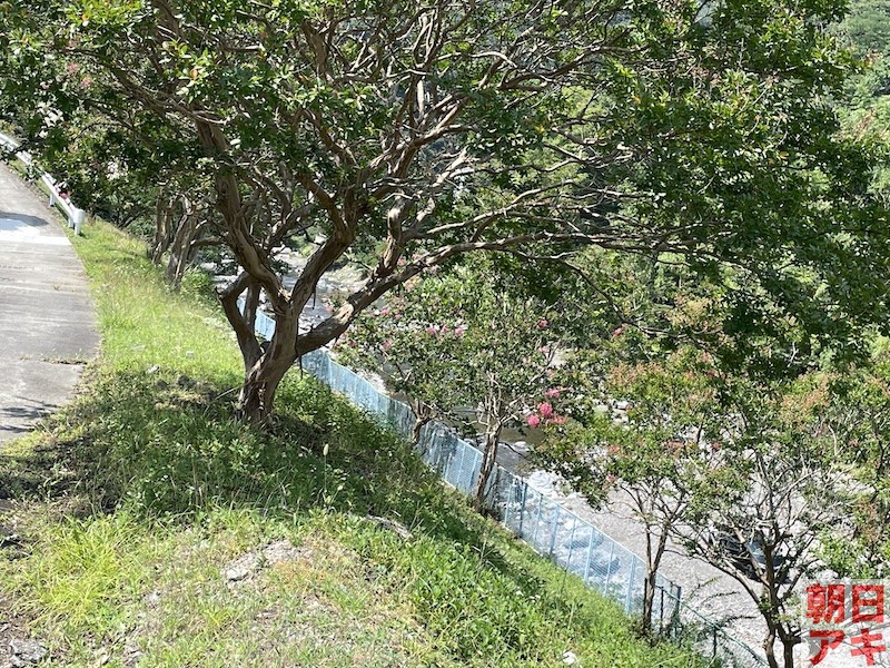 鮎釣り 神流川