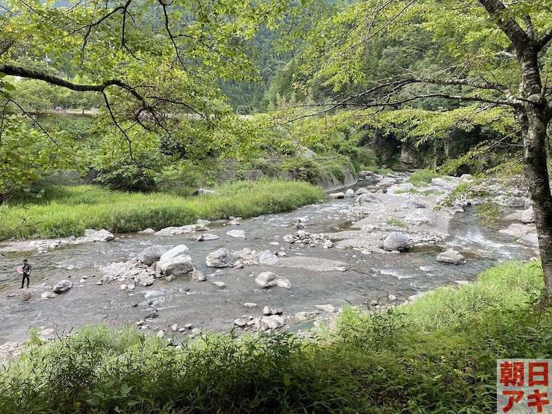 神流川 鮎 