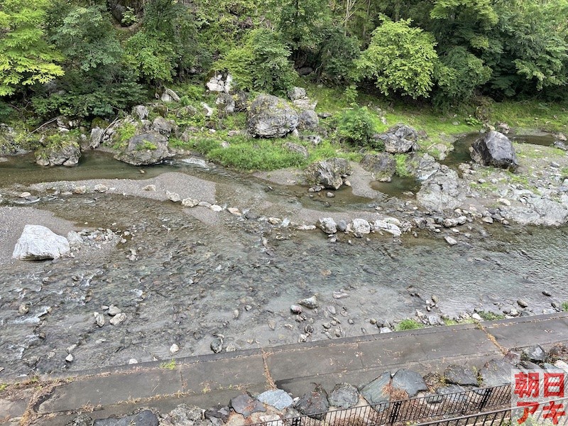 神流川 鮎 