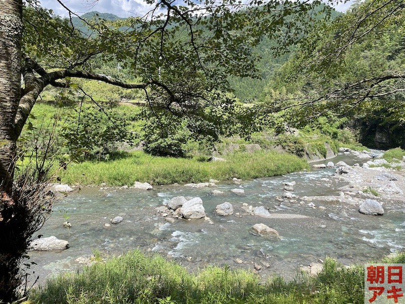 神流川　鮎 