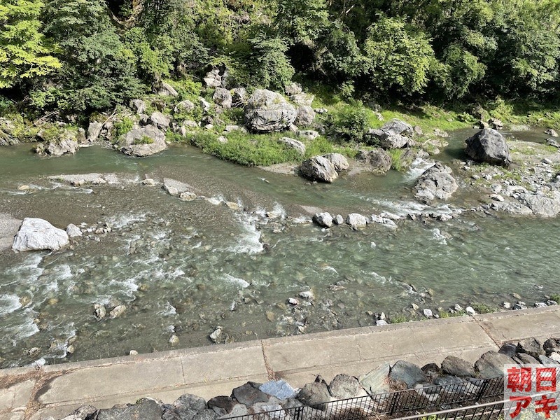 神流川　鮎 