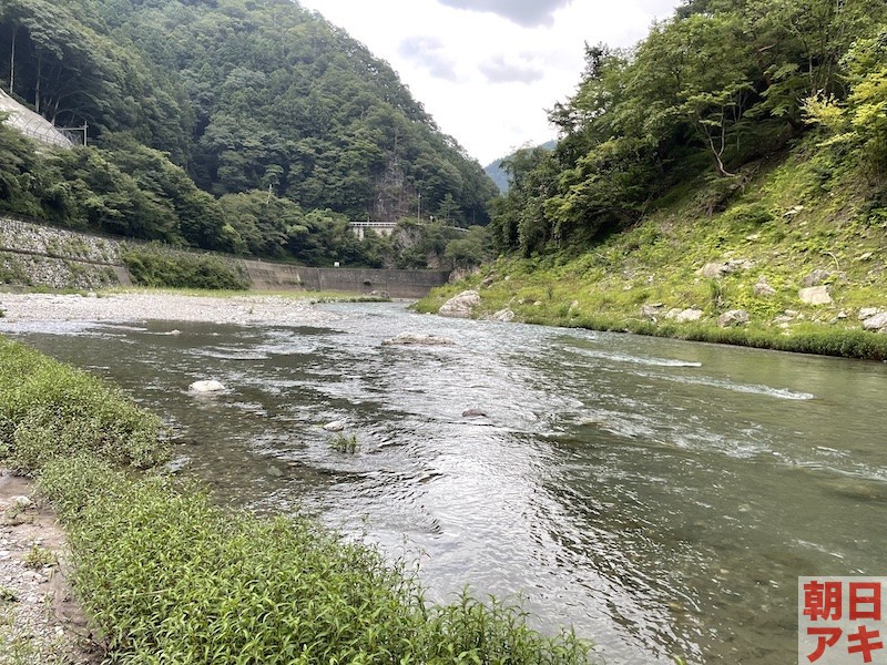 神流川　鮎 