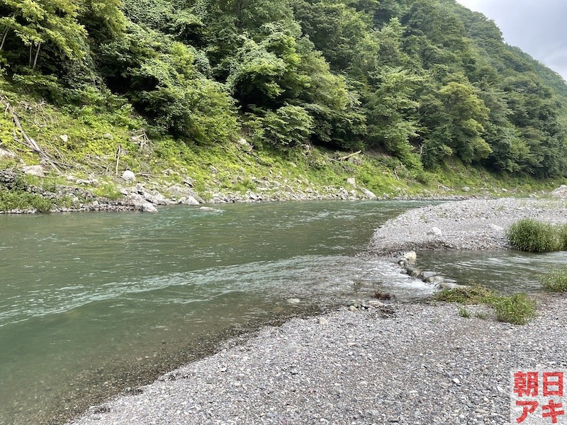 神流川　鮎 