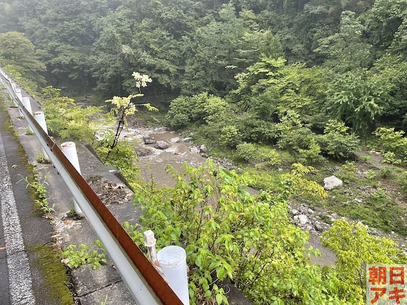 神流川　鮎 