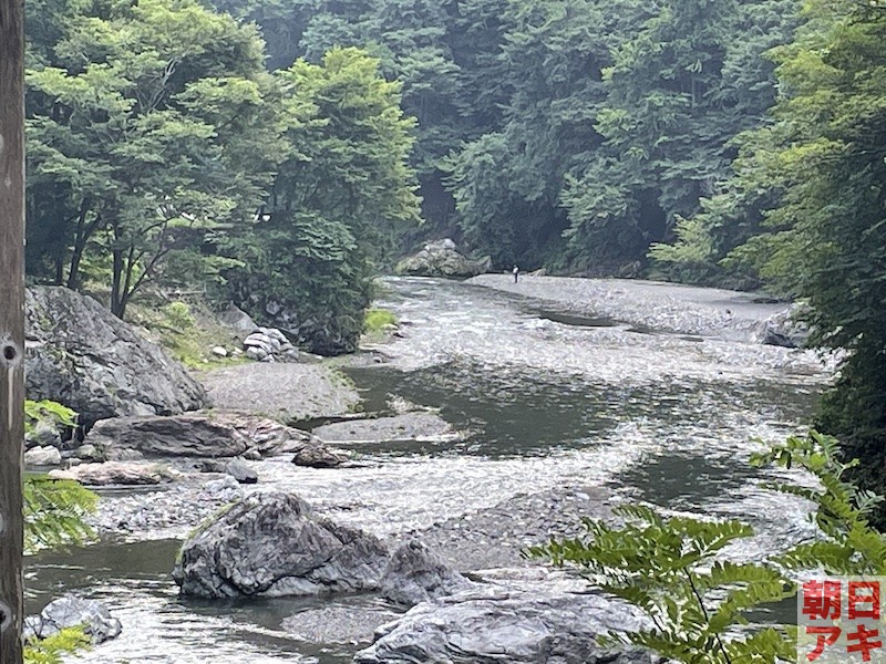 神流川　鮎　